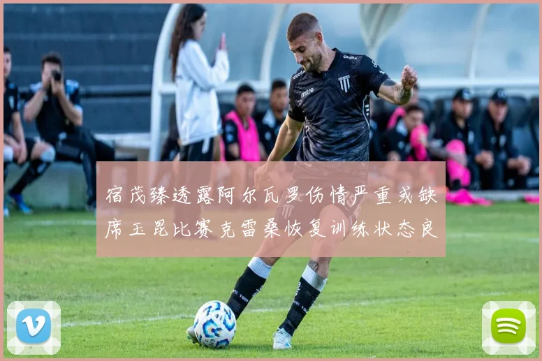 宿茂臻透露阿尔瓦罗伤情严重或缺席玉昆比赛克雷桑恢复训练状态良好