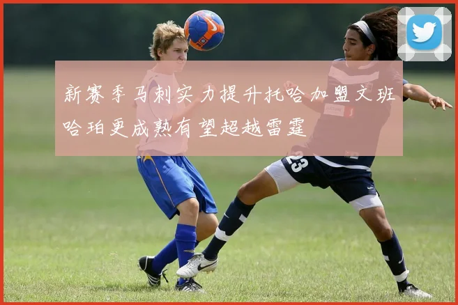 新赛季马刺实力提升托哈加盟文班哈珀更成熟有望超越雷霆