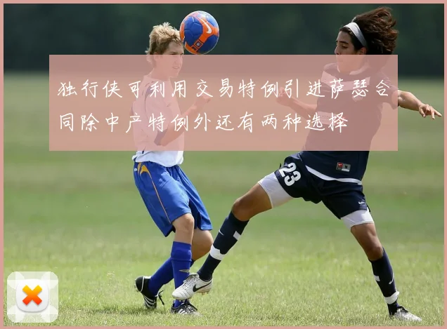 独行侠可利用交易特例引进萨瑟合同除中产特例外还有两种选择