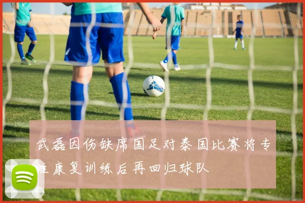 武磊因伤缺席国足对泰国比赛将专注康复训练后再回归球队