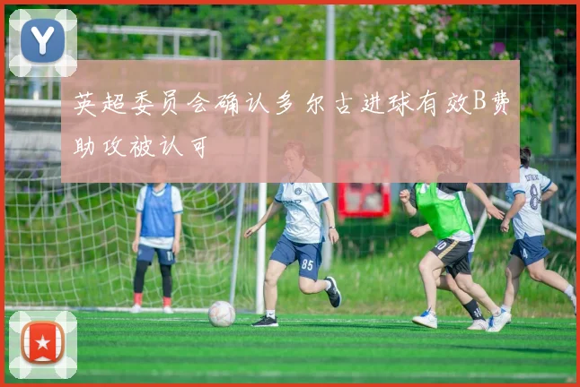 英超委员会确认多尔古进球有效B费助攻被认可